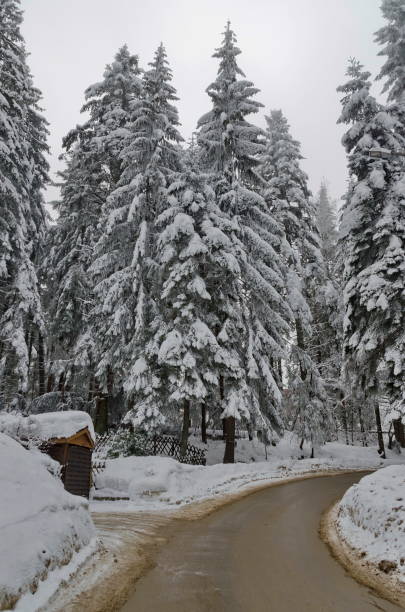 istock Winter in Borovetz resort 1191733700