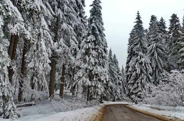 istock Winter in Borovetz resort 1191733802