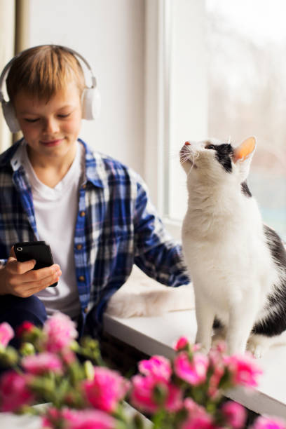 istock Young boy and cat sitting by the window 1191734145