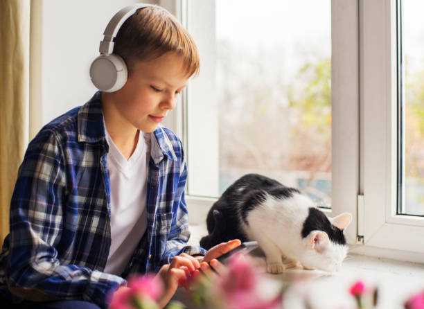 istock Young boy nad cat sitting by the window 1191734229
