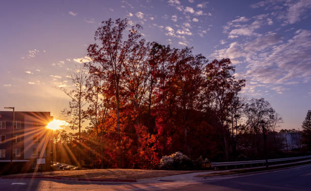 istock Sunset by a condo during the fall season 1191736714