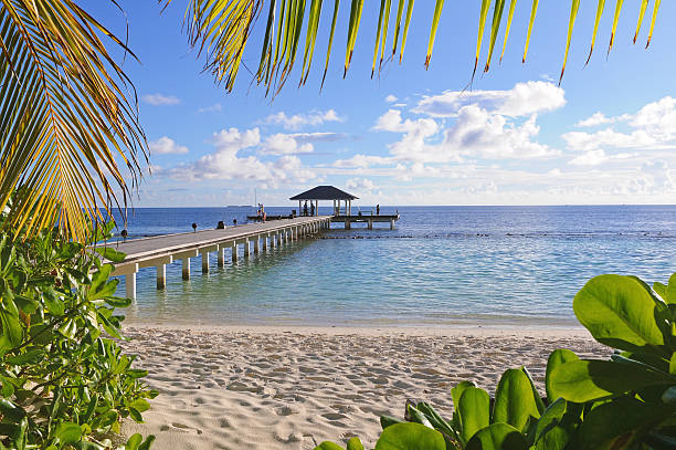 istock Pier leading out into the water 119173893