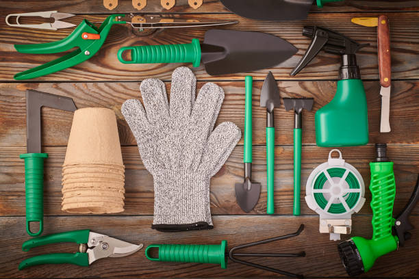 istock Gardening tools on wooden background flat lay 1191739489