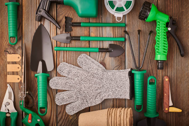 istock Gardening tools on wooden background flat lay 1191739498