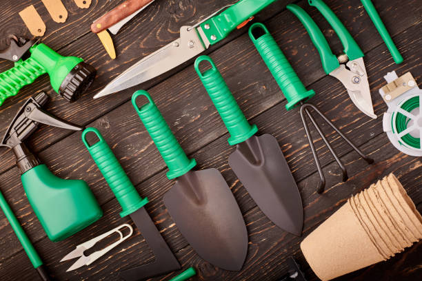 istock Gardening tools on wooden background flat lay 1191740084