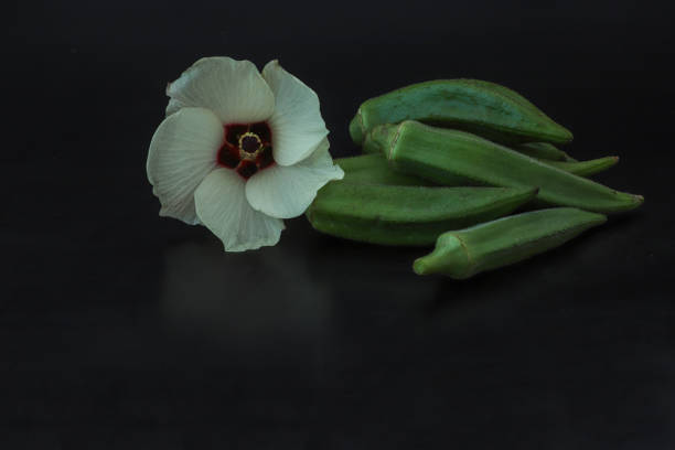 Pictured okra and its flower in a black background.