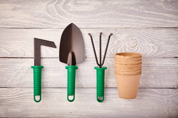 istock Gardening tools on wooden background flat lay 1191740514