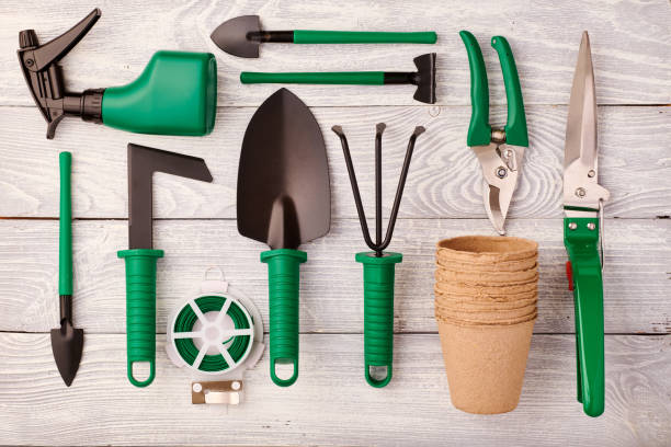 istock Gardening tools on wooden background flat lay 1191740515