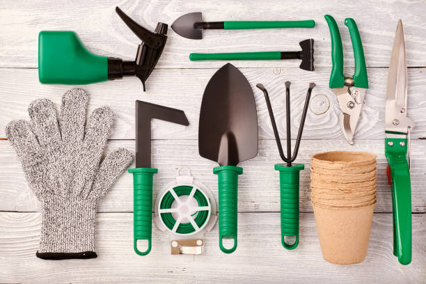 istock Gardening tools on wooden background flat lay 1191740524