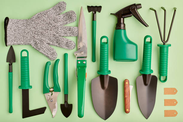 istock Gardening tools on green background flat lay 1191740632