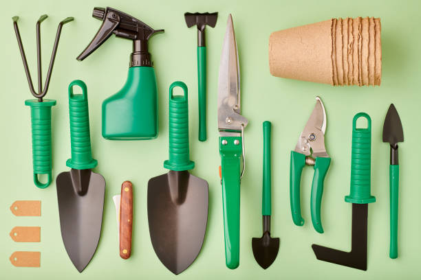 istock Gardening tools on green background flat lay 1191740678
