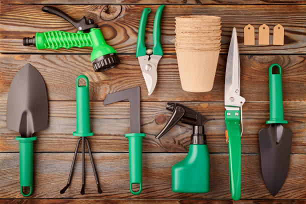 istock Gardening tools on wooden background flat lay 1191740728