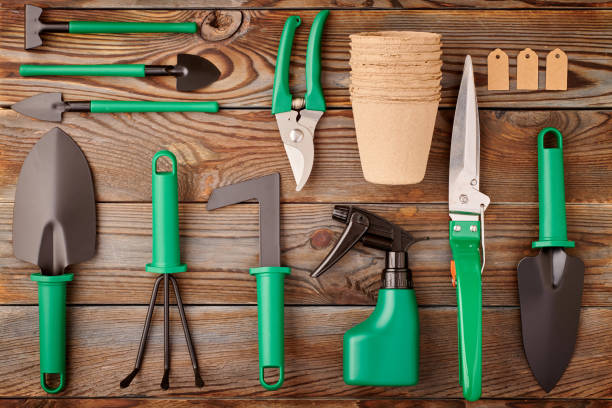 Gardening tools on wooden background flat lay stock photo