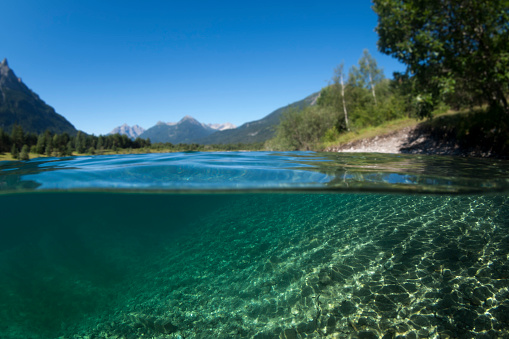 Split view / half underwater shot in clear mountain lake in European Alps / Austria