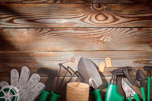 istock Gardening tools on wooden background flat lay 1191741638