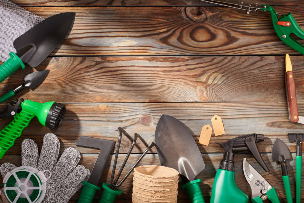 istock Gardening tools on wooden background flat lay 1191741641