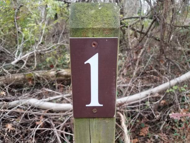 istock the number 1 on wood post in forest or woods 1191743176