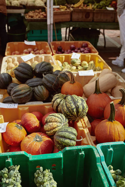 istock New England Road Trip in the Fall 1191744090