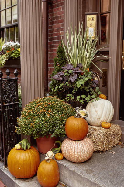 istock New England Road Trip in the Fall 1191744392
