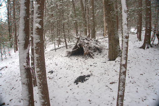 Winter Bushcraft Primitive lean to shelter covered in Snow