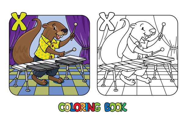 Xerus xylophonist ABC coloring book. Alphabet X Coloring book of funny musician or xylophone player. Animals with profession ABC. Children vector illustration. Alphabet X for kids african ground squirrel stock illustrations