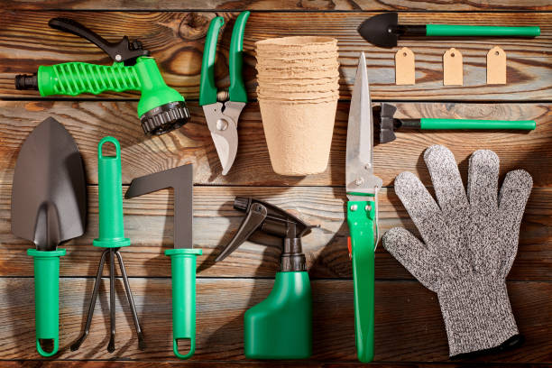 istock Gardening tools on wooden background flat lay 1191746931