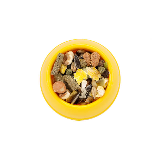 istock granulated food for rodents 1191747704