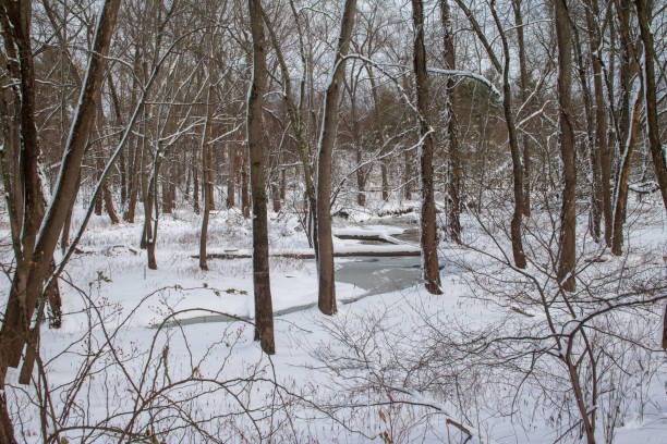 istock Frozen stream in the snowy forest 1191748656