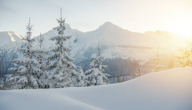 istock Winter Wonderland Landscape 1191749039