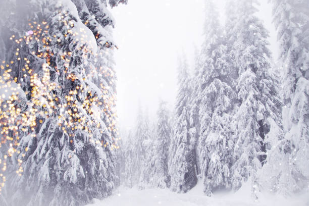 istock agical christmas tree lights winter background 1191750695