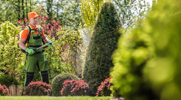 istock Garden Plants Pesticide 1191750761