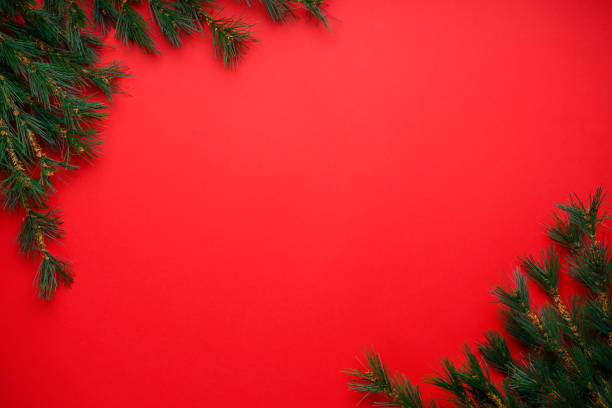 istock Christmas or New Year decorations background: Christmas tree branches on a red background with space for text 1191750809