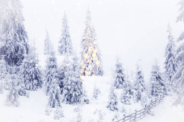 istock agical christmas tree lights winter background 1191750814
