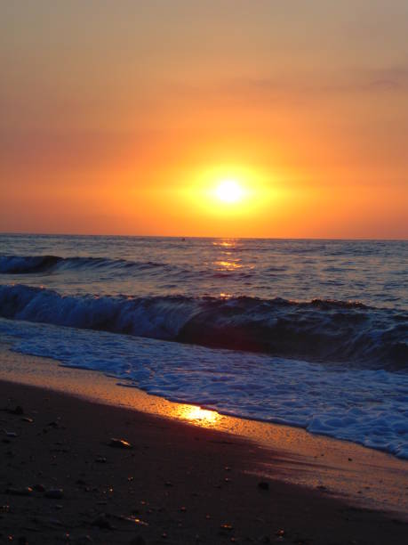 istock Sunrise on the beach 1191750817
