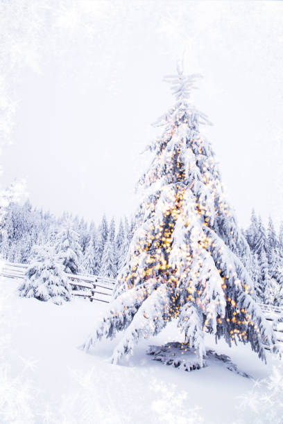istock agical christmas tree lights winter background 1191750899