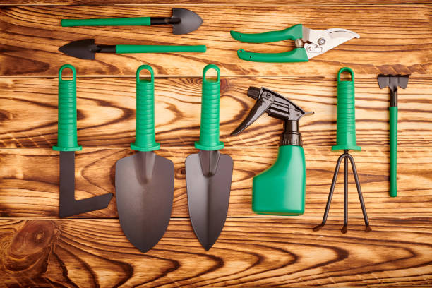 istock Gardening tools on wooden background flat lay 1191752330