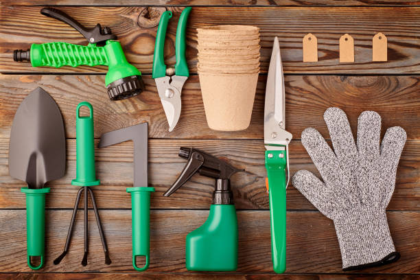 istock Gardening tools on wooden background flat lay 1191753212