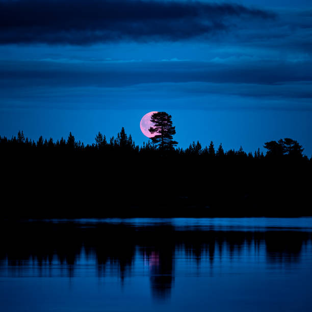 istock Pink moon in the night 1191756182