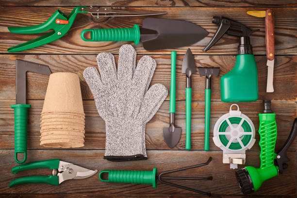 istock Gardening tools on wooden background flat lay 1191756312