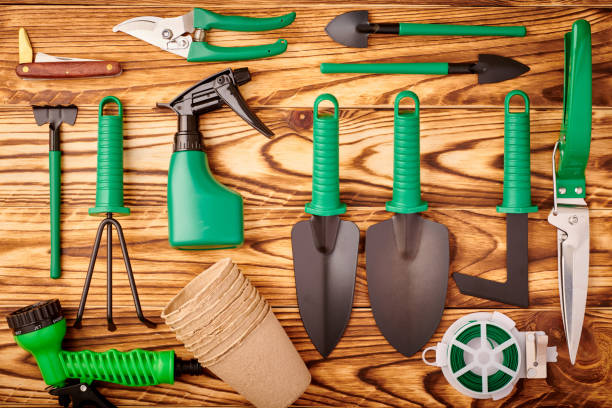 istock Gardening tools on wooden background flat lay 1191756408