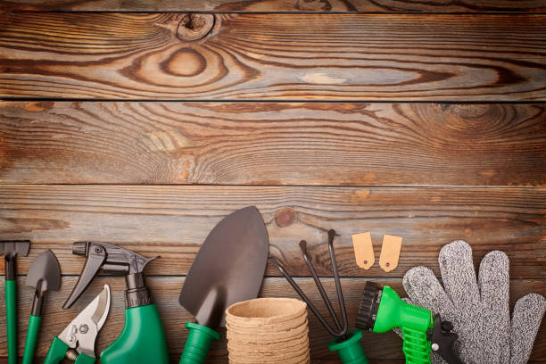 istock Gardening tools on wooden background flat lay 1191757601