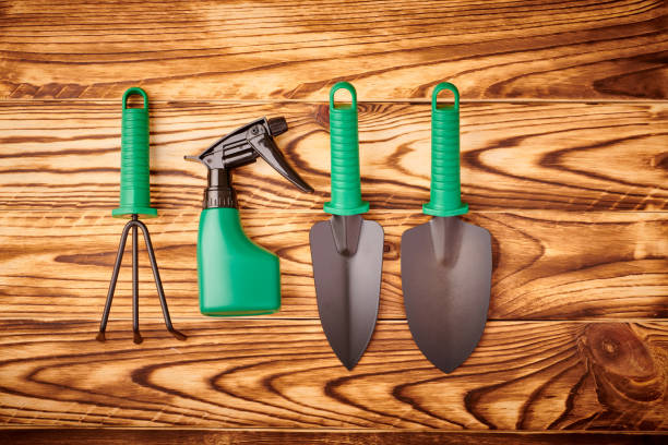 istock Gardening tools on wooden background flat lay 1191760982