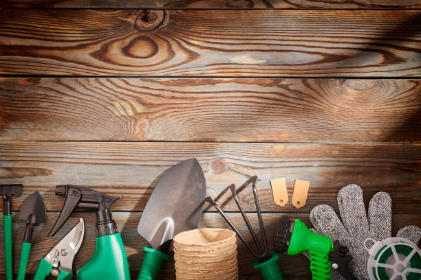 istock Gardening tools on wooden background flat lay 1191761065