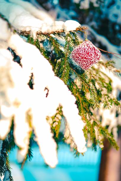 istock Christmas bauble on the snowy branch. 1191762575