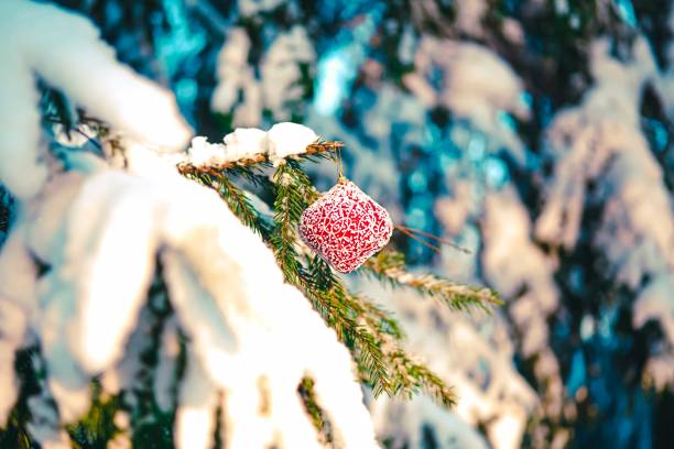 istock Christmas bauble on the snowy branch. 1191762576