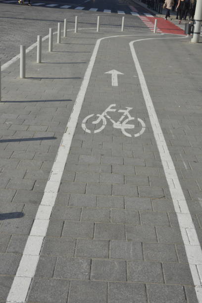 istock Bicycle Lane on the sidewalk, in the downtown 1191764567
