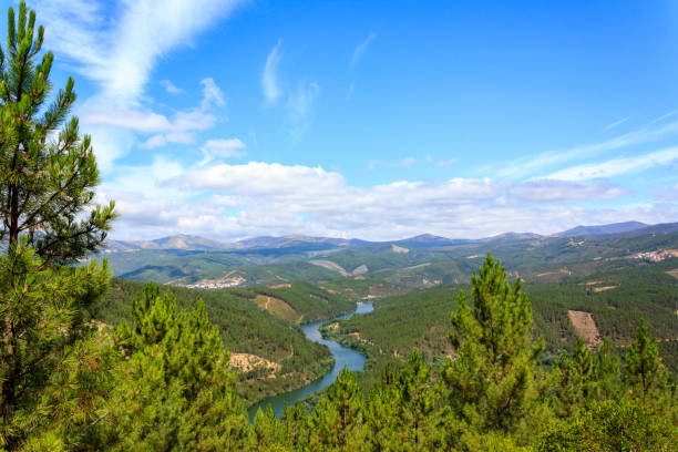 River meander landscape with green nature around