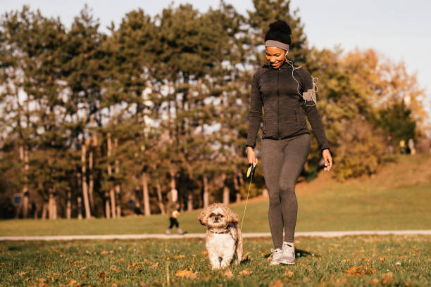 Happy African American sportswoman and her dog walking in nature. Happy black athletic woman walking with her dog in the park. tibetan lion dog stock pictures, royalty-free photos & images