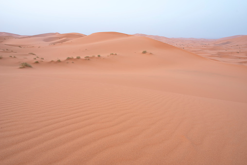 The beauty of the sand dunes in the Sahara Desert in Morocco. The Sahara Desert is the largest hot desert and one of the harshest environments in the world.