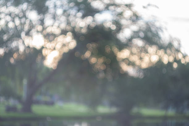 istock Abstract blur green exercise park in spring outdoor background concept for blurry beautiful nature field, horizon autumn meadow scene, eco environment day in summer blossom. 1191770372